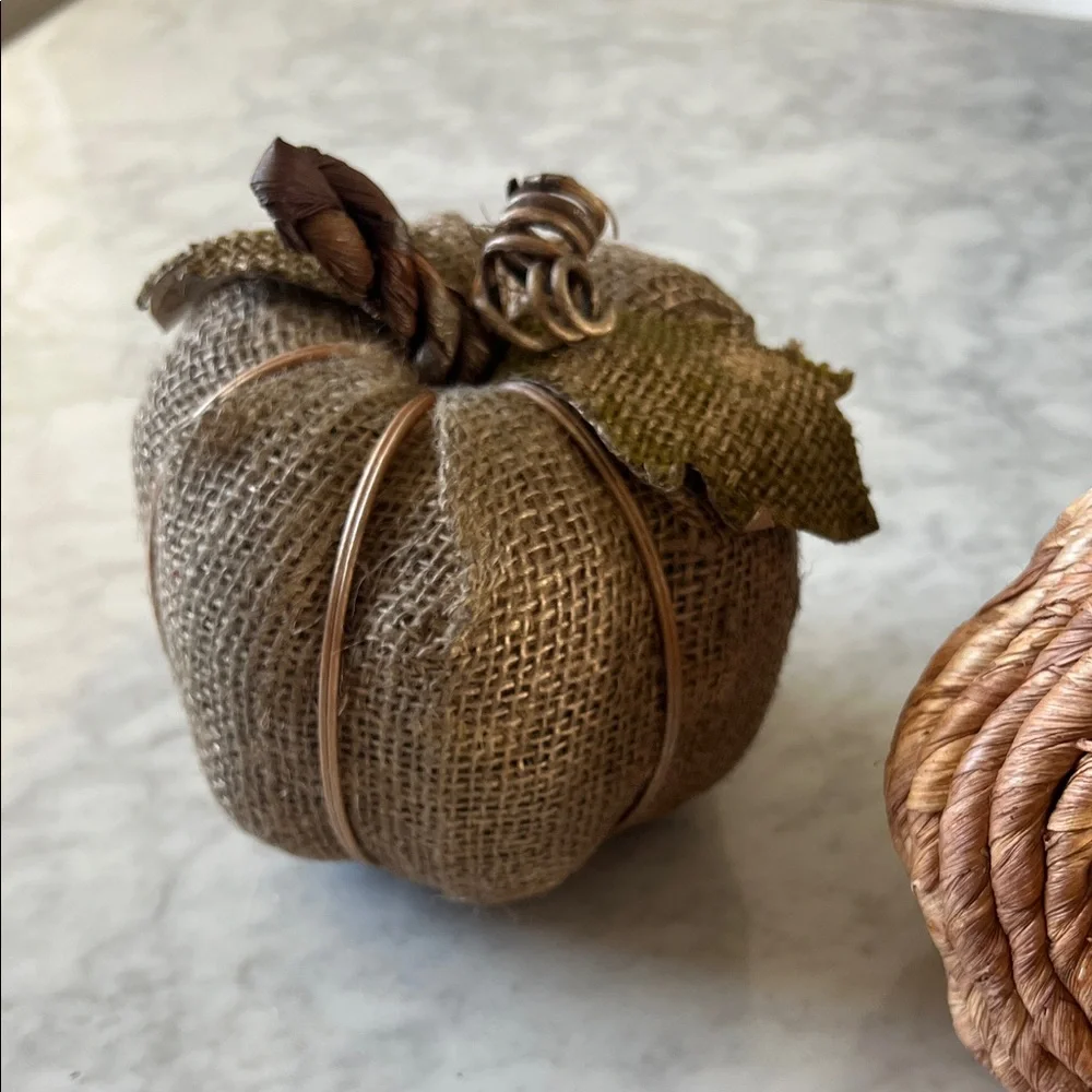 Target Rustic Pumpkin Decor bundle Set - Gold, Brown, Orange